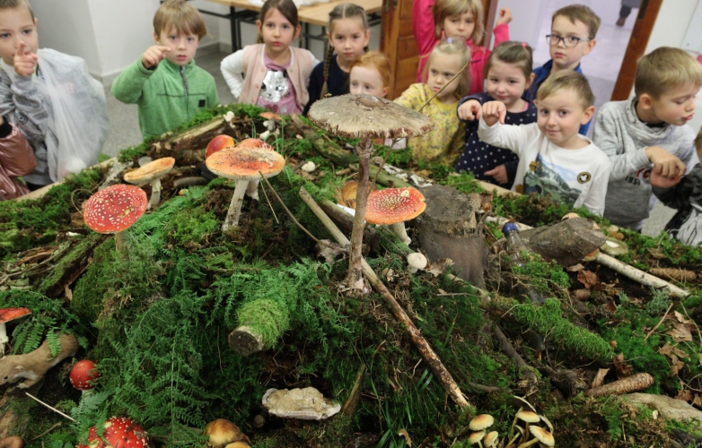 Muzeum vystavilo živé houby