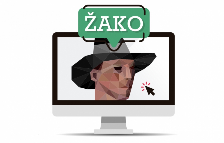 ŽAKO conference on-line