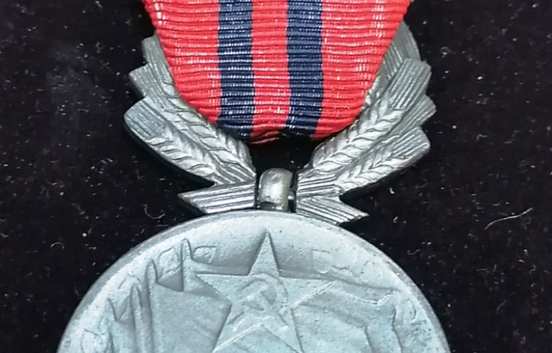 Příběhy sbírkových předmětů: stříbrná medaile za zásluhy pro E. Tylčera