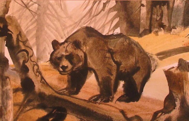 Medvěd na Valašsku