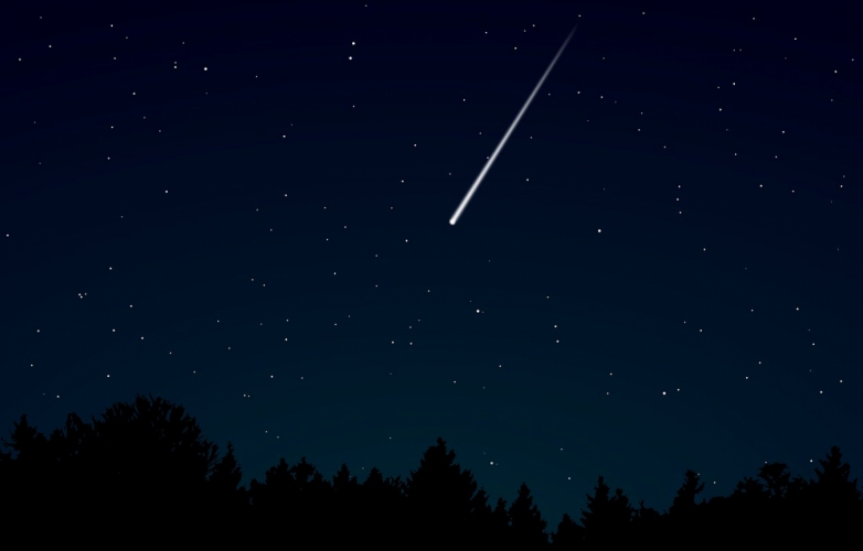 Pozorování padajících meteorů v zámeckém parku