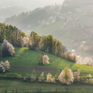 FOTOSOUTĚŽ: Valašsko – můj domov